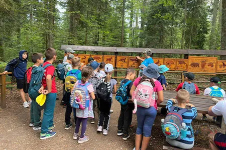 Samostalnost i odgovornost | Džudo klub Bežanija Samostalnost i odgovornost